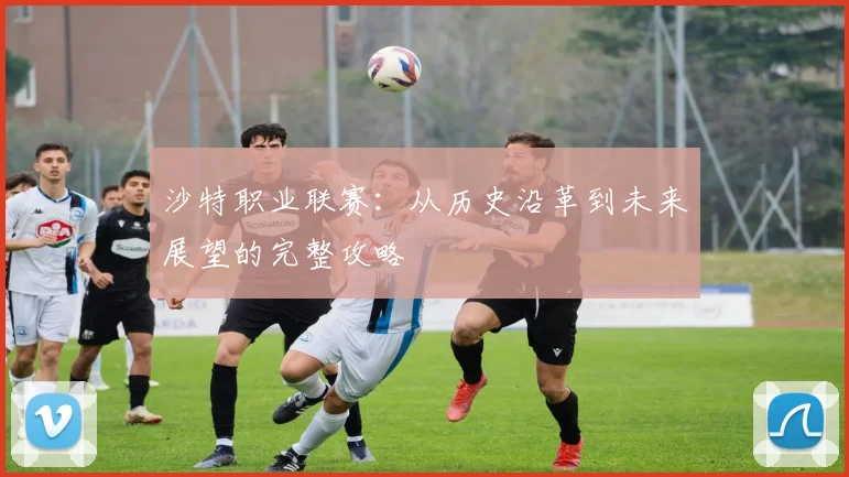沙特职业联赛：从历史沿革到未来展望的完整攻略