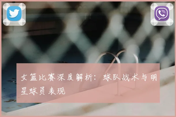 女篮比赛深度解析:球队战术与明星球员表现